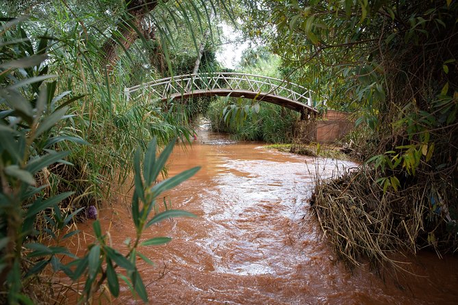 Full Day Trip To Ouzoud Waterfalls From Marrakech & Boat Tour - Barbary apes in the river valley