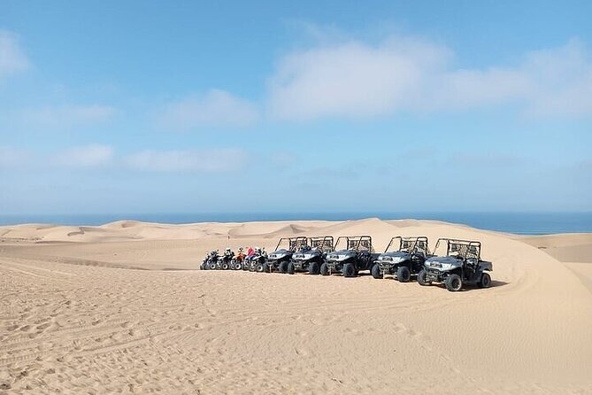 Fun buggies in Agadir Forest and Beach Dunes - Key points to know before you book