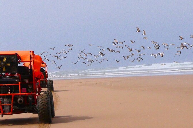 Fun buggies in Agadir Forest and Beach Dunes - The first hour through forest and rough desert tracks