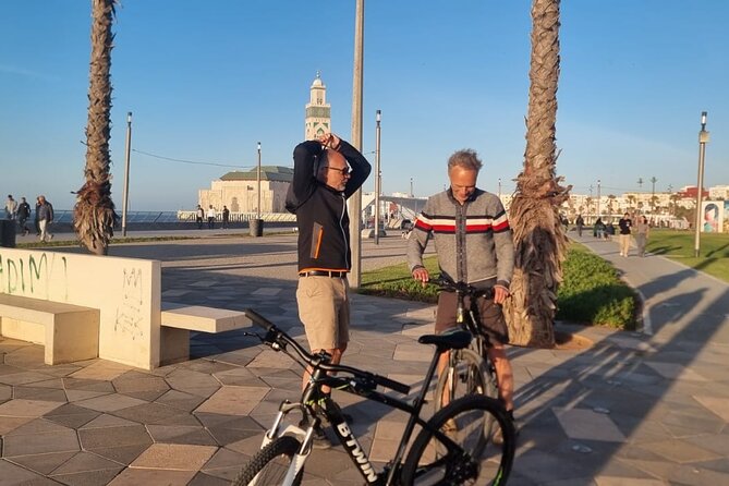 Guided Cycling Adventure in Casablanca with Licensed Tour Guide - Parc de la Ligue Arabe: a greener pause