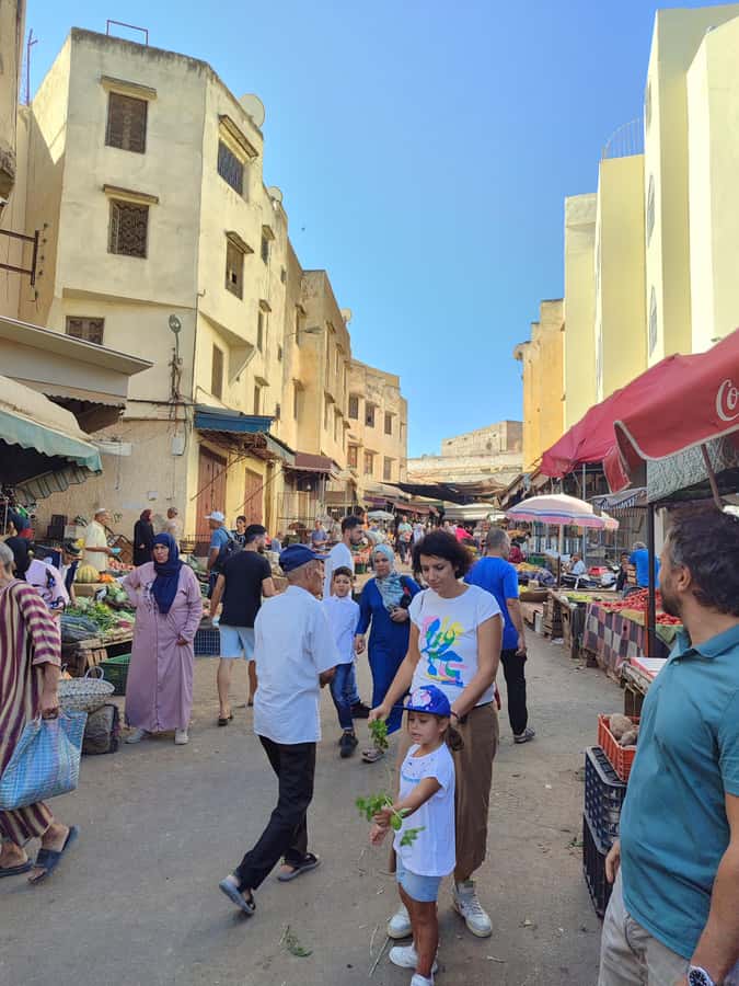 Half day guided tour in Fes Medina - Starting at Bab Boujloud, Fes’s blue and green gate