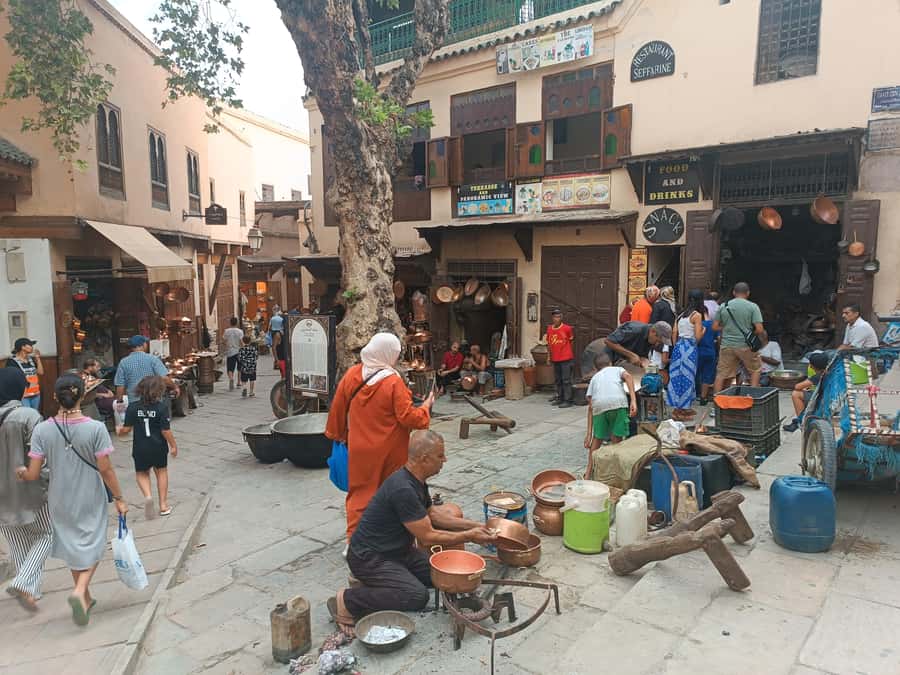 Half day guided tour in Fes Medina - Who should book this Fes medina tour