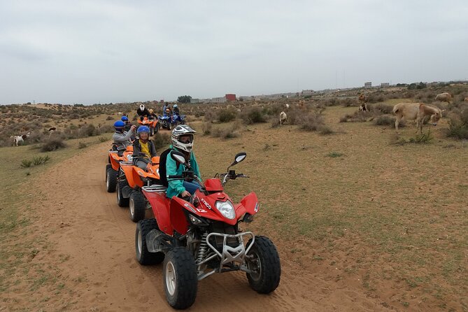 Half-day QUAD In Agadir + pick-up included from Agadir - Families, beginners, and the right fitness level