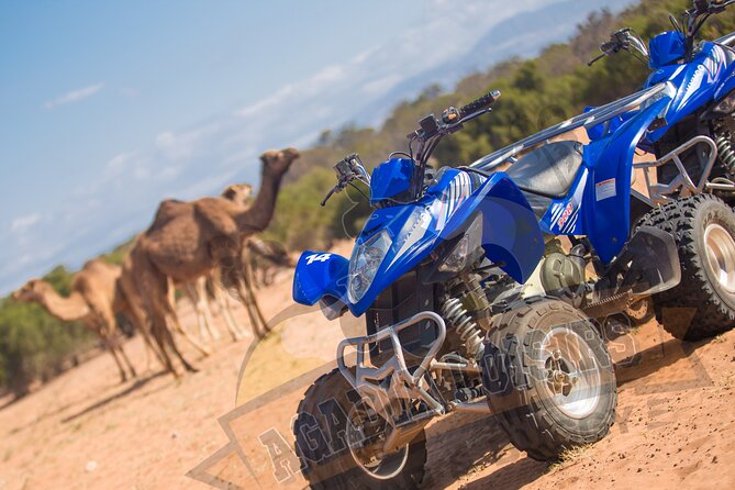 Half-day QUAD In Agadir + pick-up included from Agadir - Pickup, group size, and small practical details