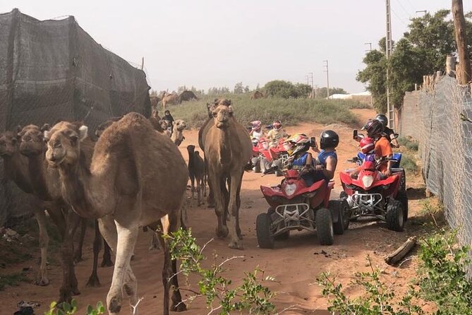 Half Day Quad in Agadir - Rural tracks, argan trees, and Berber villages