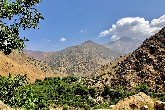 Half Day Tour From Marrakech to the Atlas Mountains & Ourika Valley - Leaving Marrakech for the High Atlas