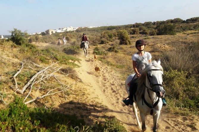 Horse Ride on the Beach in Essaouira - From the medina to the stables 3 kilometers away