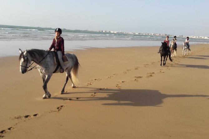 Horse Ride on the Beach in Essaouira - Price, value, and what is included