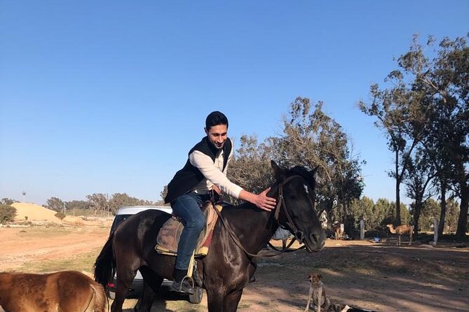 Horse Riding Agadir - Getting comfortable with your horse