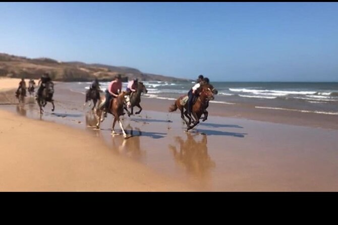 Horse Riding Agadir - Reaching the sand and possible beach riding