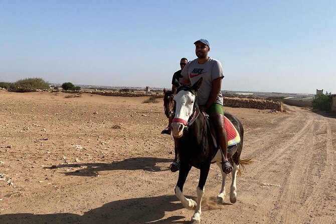 Horse Riding Agadir - How the price compares with the experience