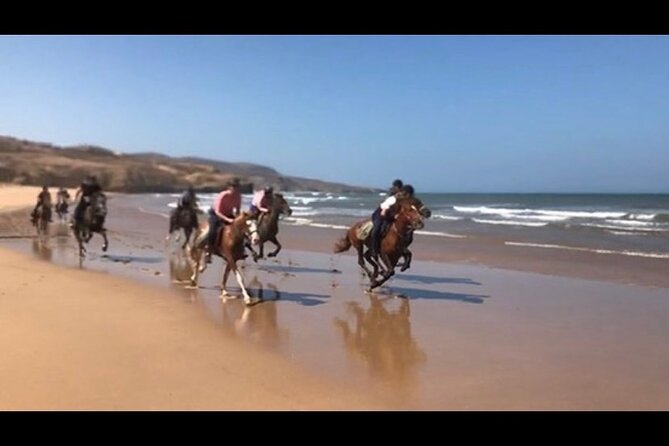 Horse Riding Agadir - Who will enjoy this ride most