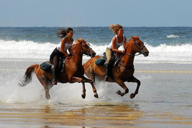 Horse Riding Agadir - Along the Souss Massa River