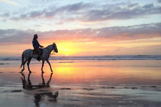 Horse riding at sunset for 2 hours - Key points to know before you book