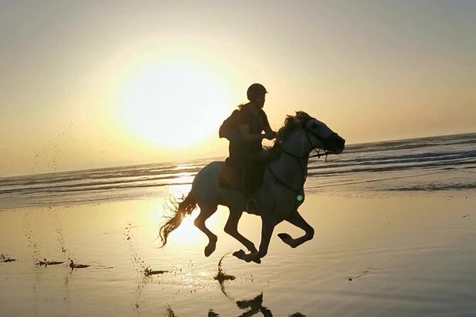 Horse riding on the beach of Essaouira 2 hours - Key points at a glance