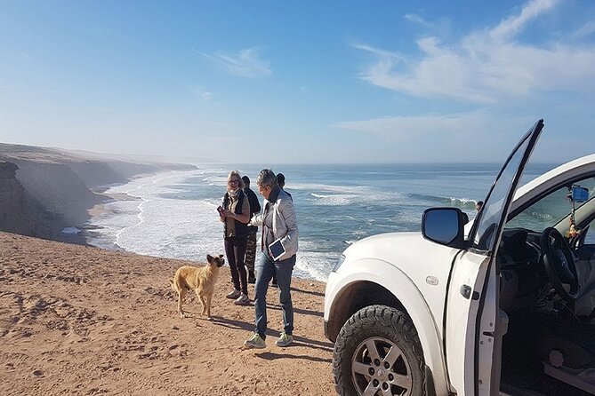 Jeep 4x4 Safari Atlantic Ocean & Desert Dunes with Berber Lunch - Souss-Massa National Park and bird country