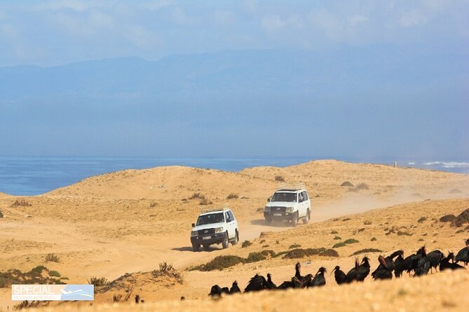 Jeep 4x4 Safari Atlantic Ocean & Desert Dunes with Berber Lunch - A Berber lunch in a local home