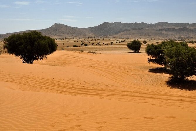 Jeep 4x4 Safari Desert Dunes & Atlantic Ocean with Berber Lunch - Why this Agadir day trip works