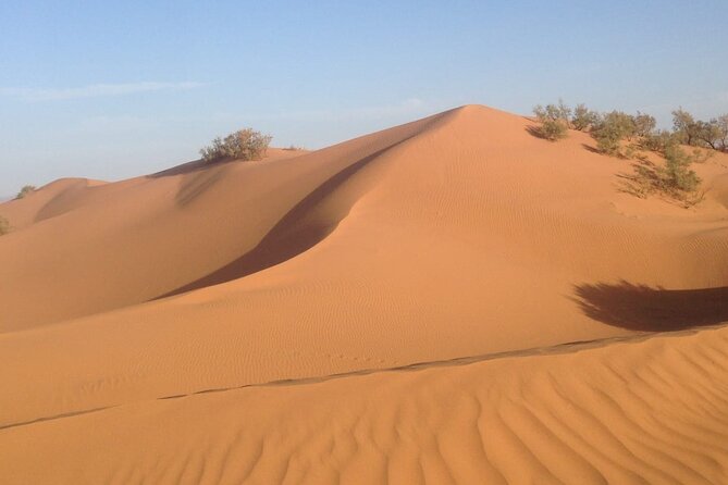 Jeep Tour to Mini Sahara With Lunch Small group - At a glance