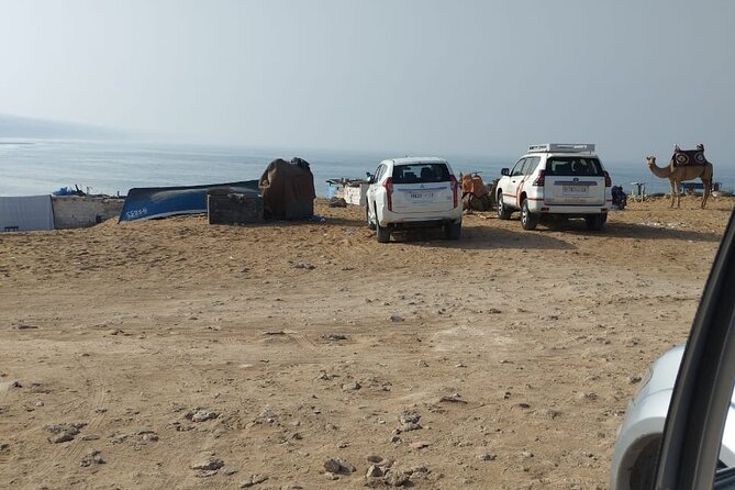 Jeep Tour to Mini Sahara With Lunch Small group - What the Mini Sahara really looks like