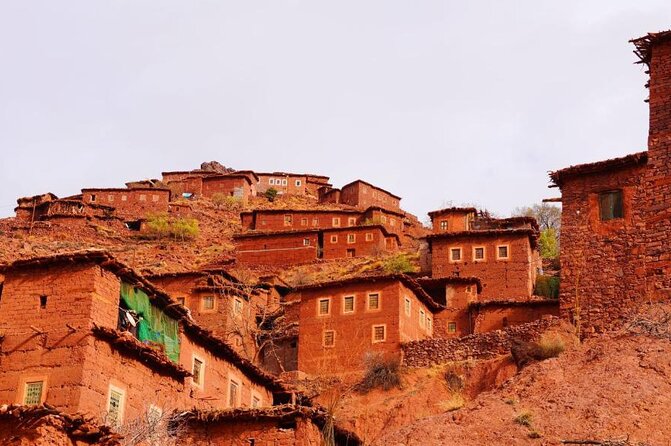 Lunch in the High Atlas: Ourika Valley Waterfalls & 3 Valleys - Guides and the human side of the trip