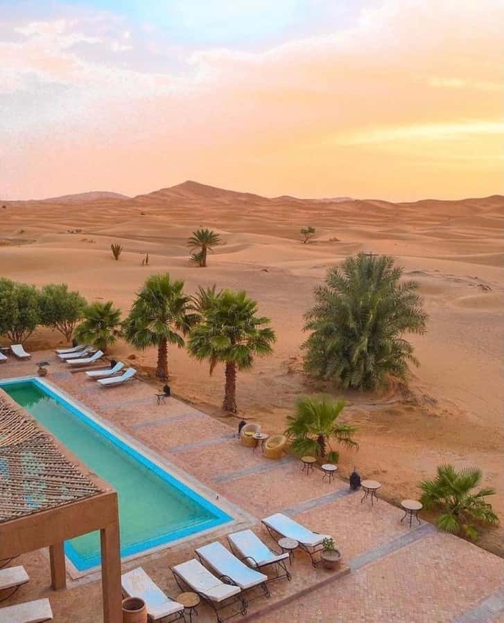 Lunch & Swimming Camel Ride and Quad Biking in Agafay - What to bring and what to arrange before departure