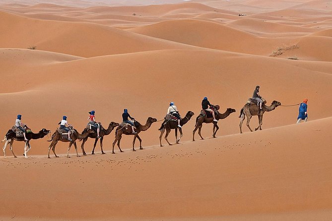 Luxury 2-Days Desert Trip from Fes to.:( fes or marakech) - Midelt, the Atlas passes, and the Ziz Gorge