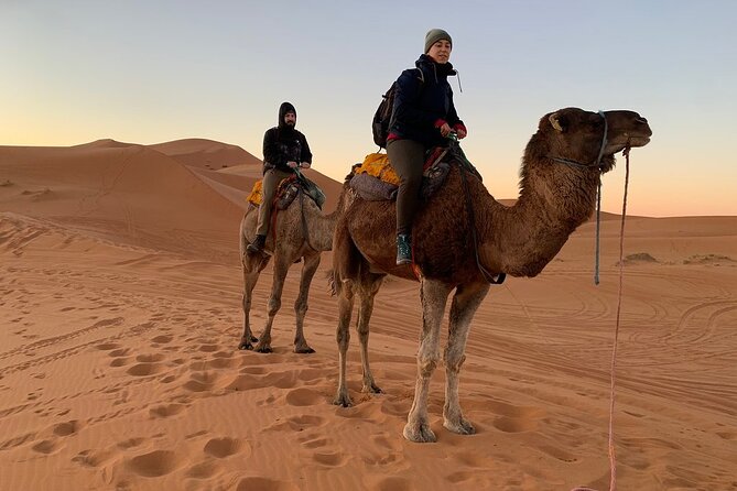 Luxury 2-Days Desert Trip from Fes to.:( fes or marakech) - Dinner, music, and the Sahara night sky