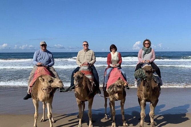 luxury 4 Hour Private Tour of Tangier - Mendoubia, the American Legation, and the synagogue