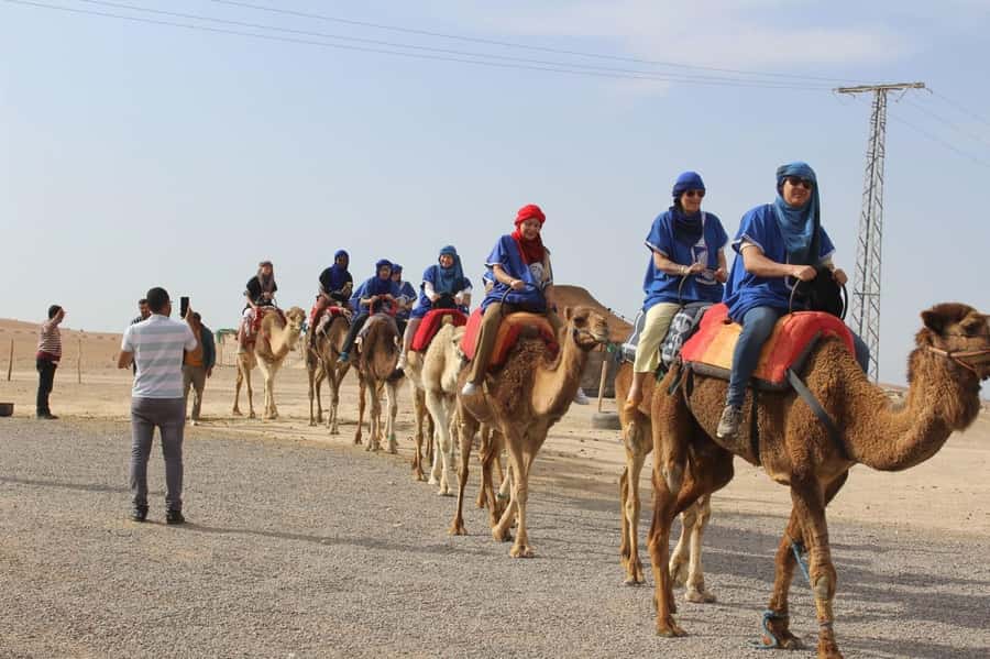 Luxury Agafay Desert : Quad , Camel Ride, Pool & Dinner Show - Why Agafay works for a desert day from Marrakesh