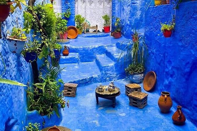 luxury day trip to Chefchaouen From fes by small group - Who should choose this day trip?