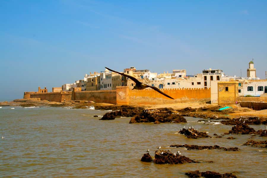 Luxury day trip to Essaouira from Marrakech - Mint tea, Berber culture, and the ride home