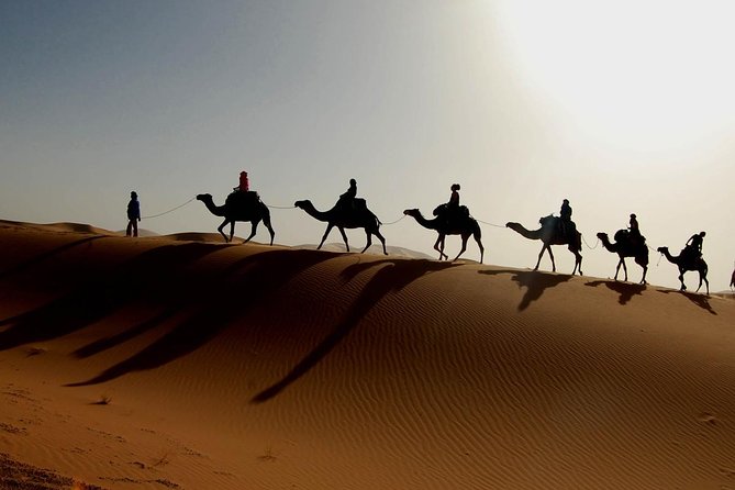 luxury desert tour 3days 2 night fez merzouga ouarzazat marakech - Day one: cedar forest, Atlas passes, and Merzouga