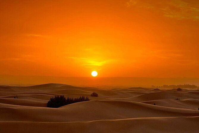 Luxury Sahara Desert From Fez back to fez or marrakech overnight - Should you book the Fez Sahara overnight?