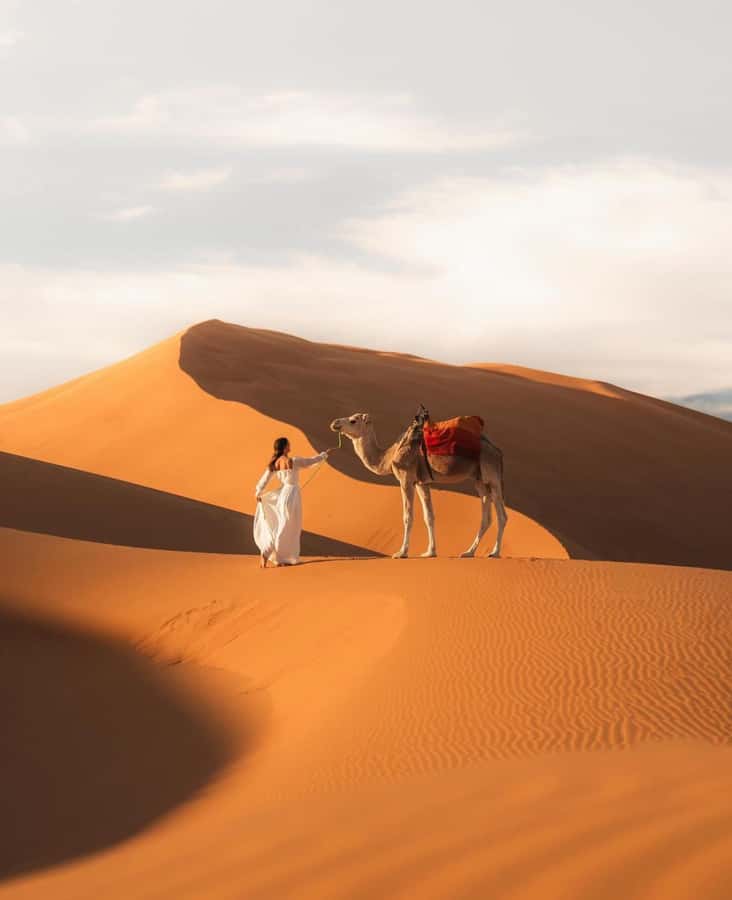 Majestic Desert: 3-Day Luxury Journey from Marrakech to Fes - Day 2: Dades Valley, Todra Gorge, and Merzouga