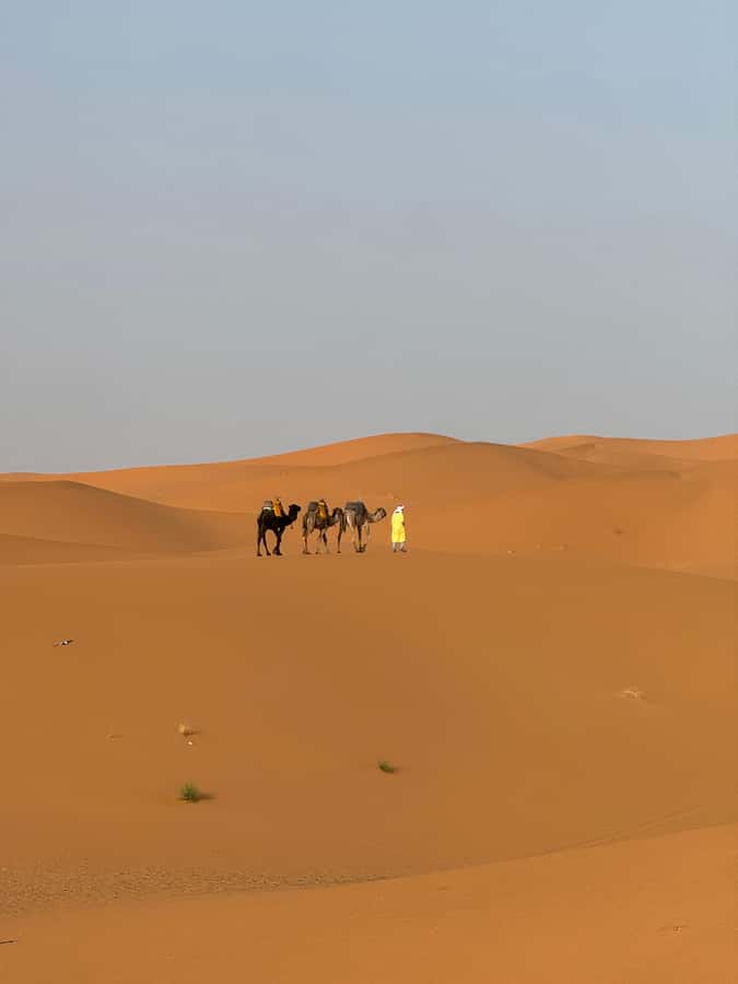 Majestic Desert: 3-Day Luxury Journey from Marrakech to Fes - What the $138 price really covers