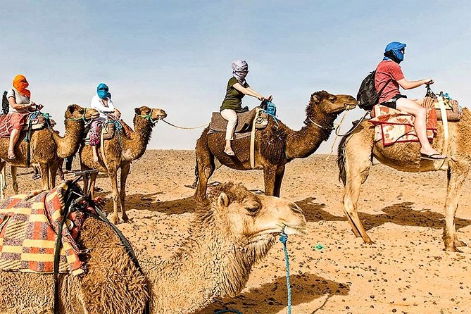 Marrakech: 1 Day Tour-Best of the Atlas Mountains &Three Valleys - Moulay Brahim and views toward Mount Toubkal