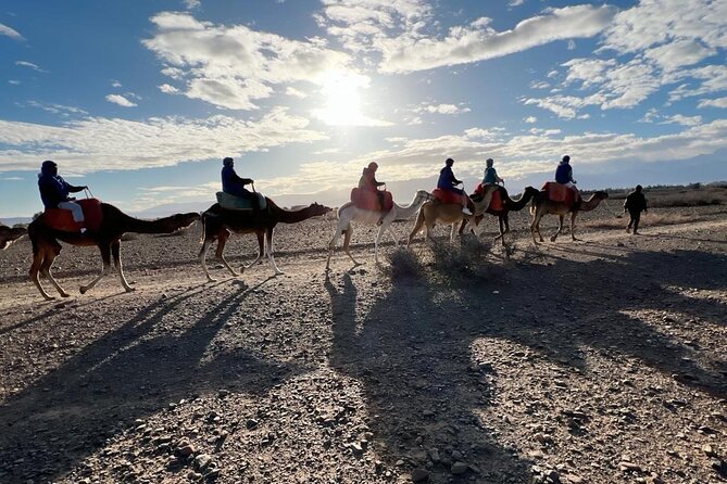 Marrakech: 1 Day Tour-Best of the Atlas Mountains &Three Valleys - Camel riding and mint tea near Ourika