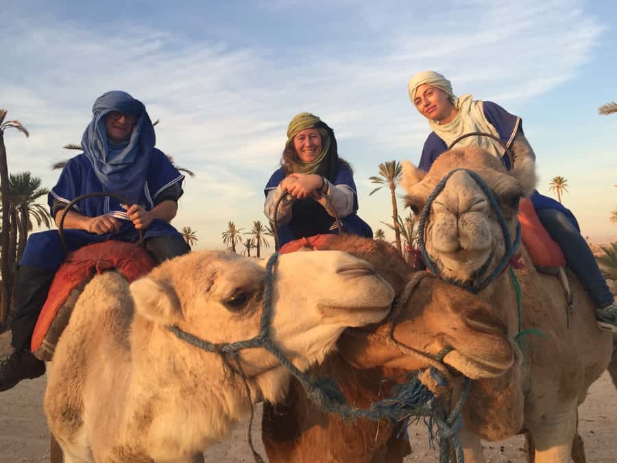 Marrakech : 1-Hour Camel Ride Through the Palm Grove - Is $35 good value?