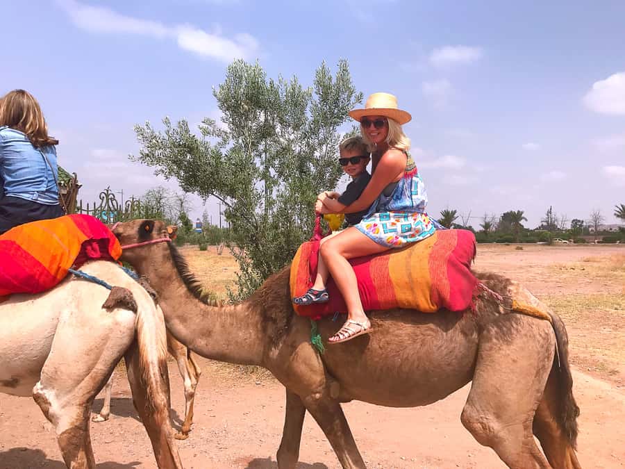 Marrakech : 1-Hour Camel Ride Through the Palm Grove - Getting ready for your one-hour camel ride