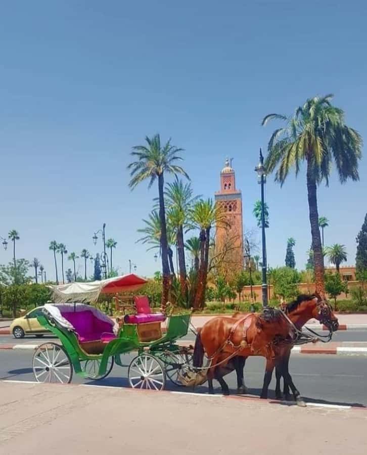 Marrakech: 1-Hour Traditional Horse-Drawn Carriage Tour - Is $40 a good value?