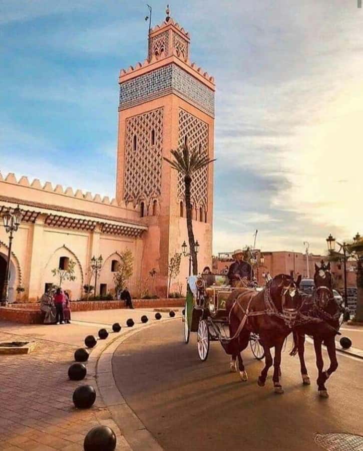Marrakech: 1-Hour Traditional Horse-Drawn Carriage Tour - Hotel pickup and the first practical detail
