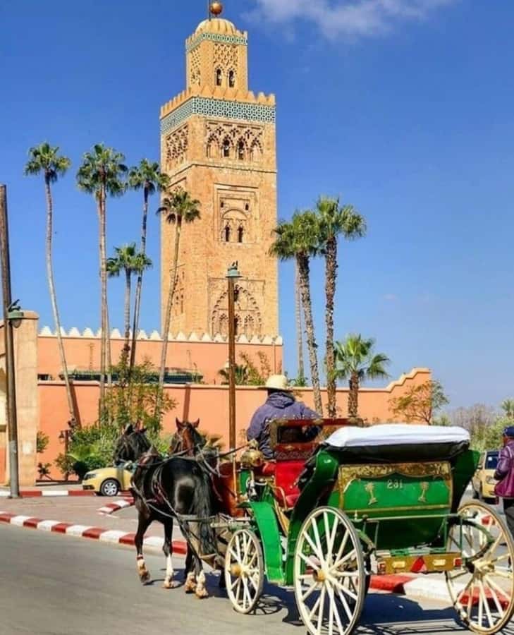Marrakech: 1-Hour Traditional Horse-Drawn Carriage Tour - Koutoubia Mosque and the Medina walls