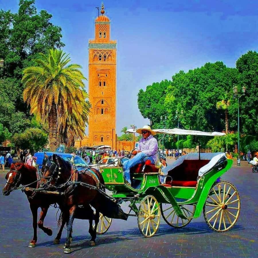 Marrakech: 1-Hour Traditional Horse-Drawn Carriage Tour - The animal welfare question