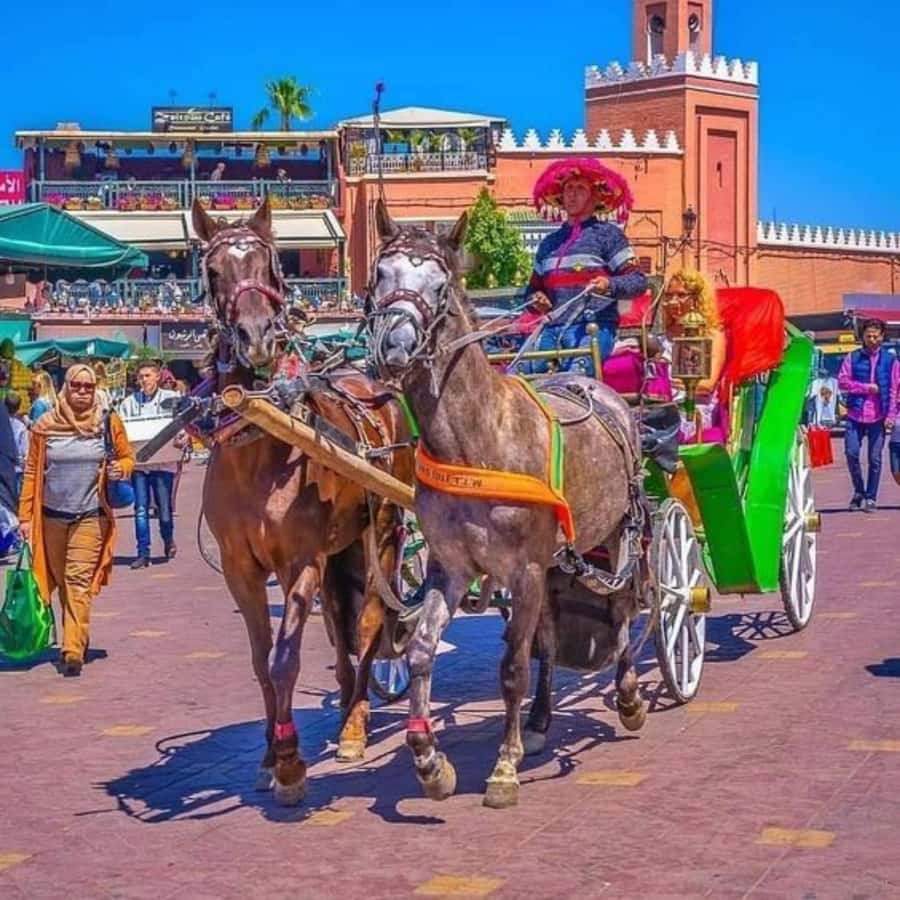 Marrakech: 1-Hour Traditional Horse-Drawn Carriage Tour - Pickup needs more attention than the carriage