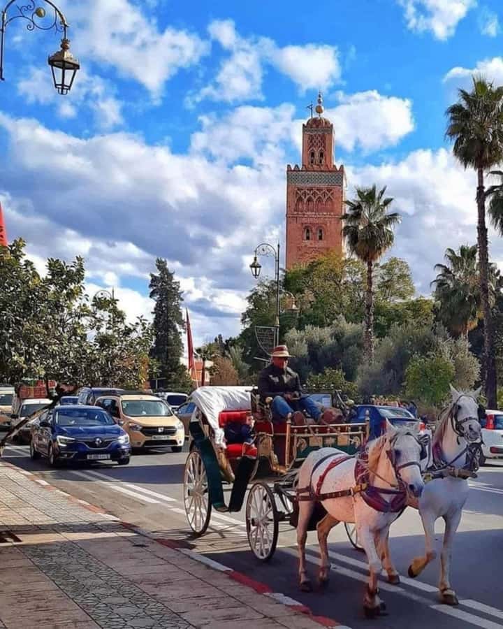 Marrakech: 1-Hour Traditional Horse-Drawn Carriage Tour - Passing Jemaa el-Fnaa by carriage
