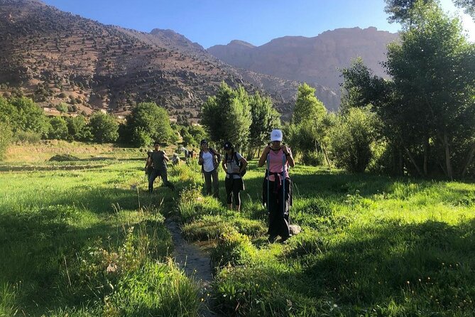 Marrakech: 2-Day Atlas Mountains Trek with Village Stay - At a glance