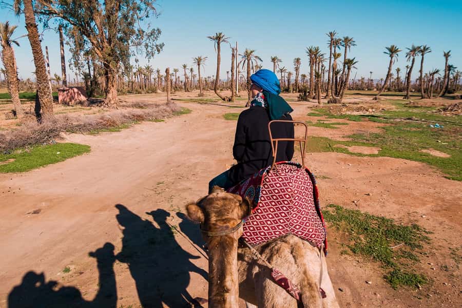 Marrakech: 2-Hour Quad Bike & Camel Ride in Palmeraie - The Palmeraie camel ride: one quiet hour among the palms