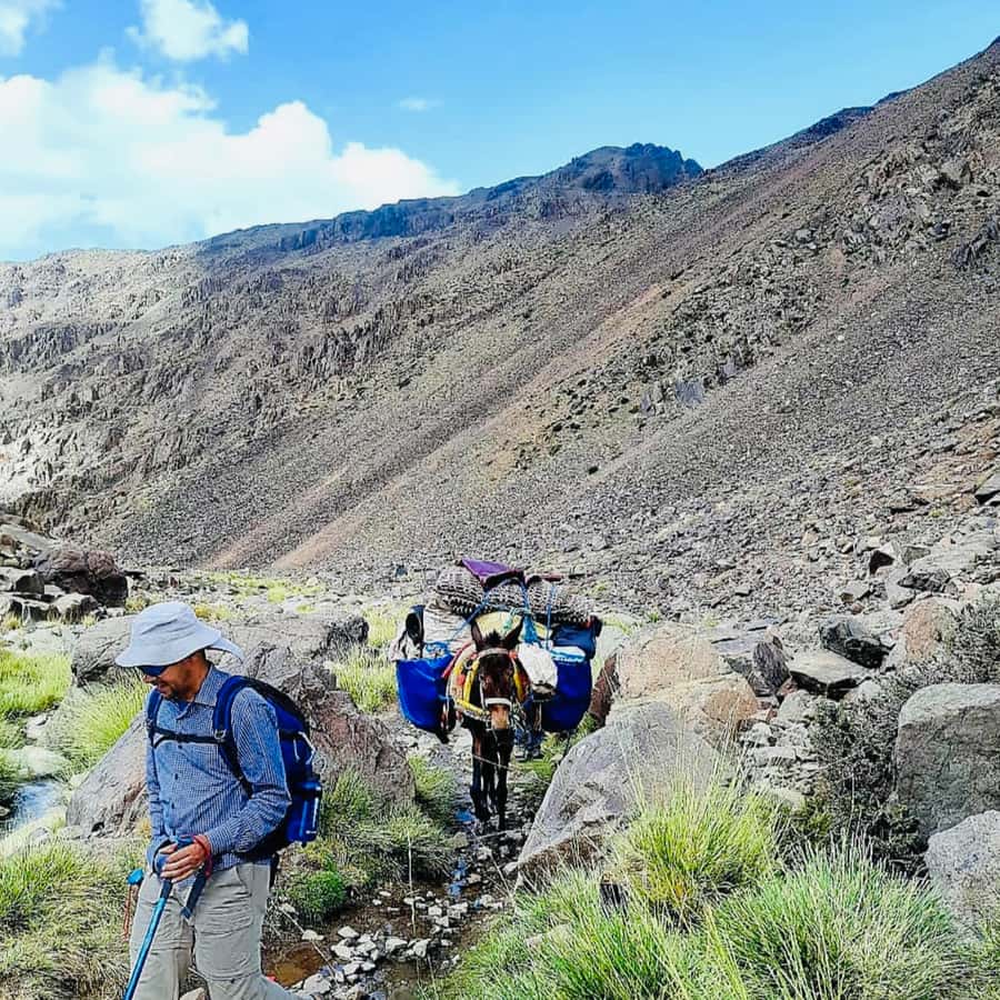 Marrakech: 3-Day Atlas Mountains Berber Villages Trek - What the $159 price really covers