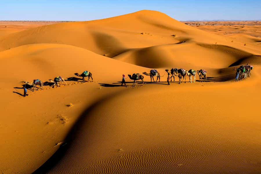 Marrakech: 3-Day Desert Trip to Merzouga with Luxury Camp - Who will enjoy this trip most?